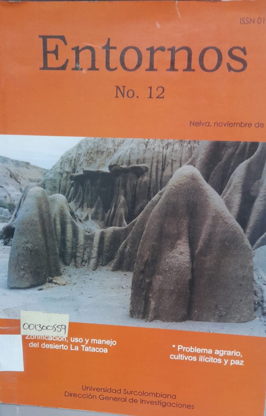 Portada del libro ENTORNOS N° 12