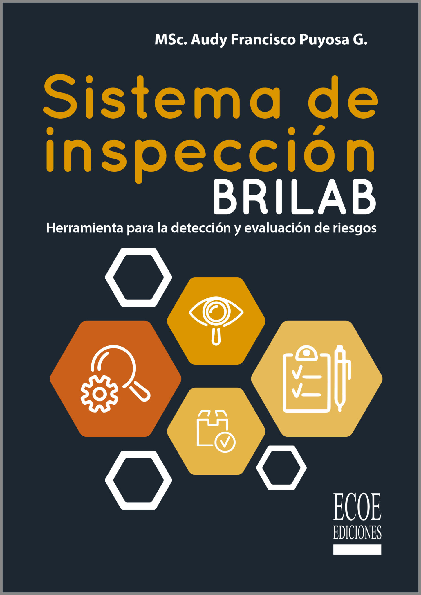 Portada del libro SISTEMA DE INSPECCION BRILAB