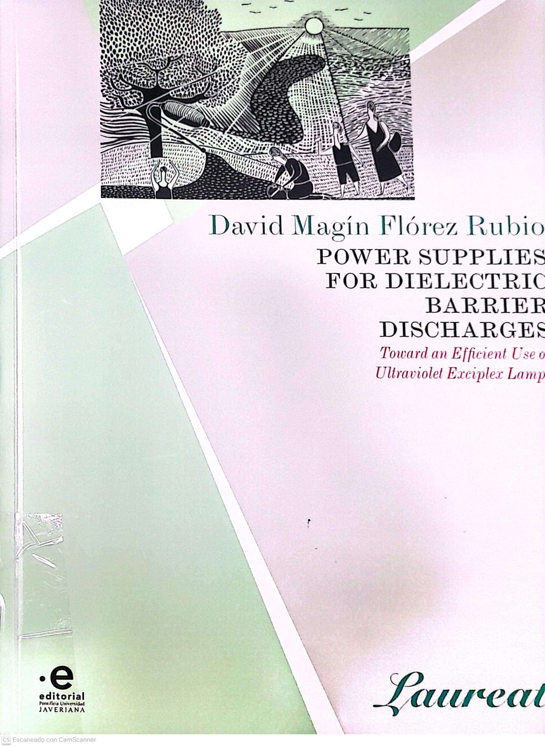 Portada del libro POWER SUPPLIES FOR DIELECTRIC BARRIER DISCHARGES