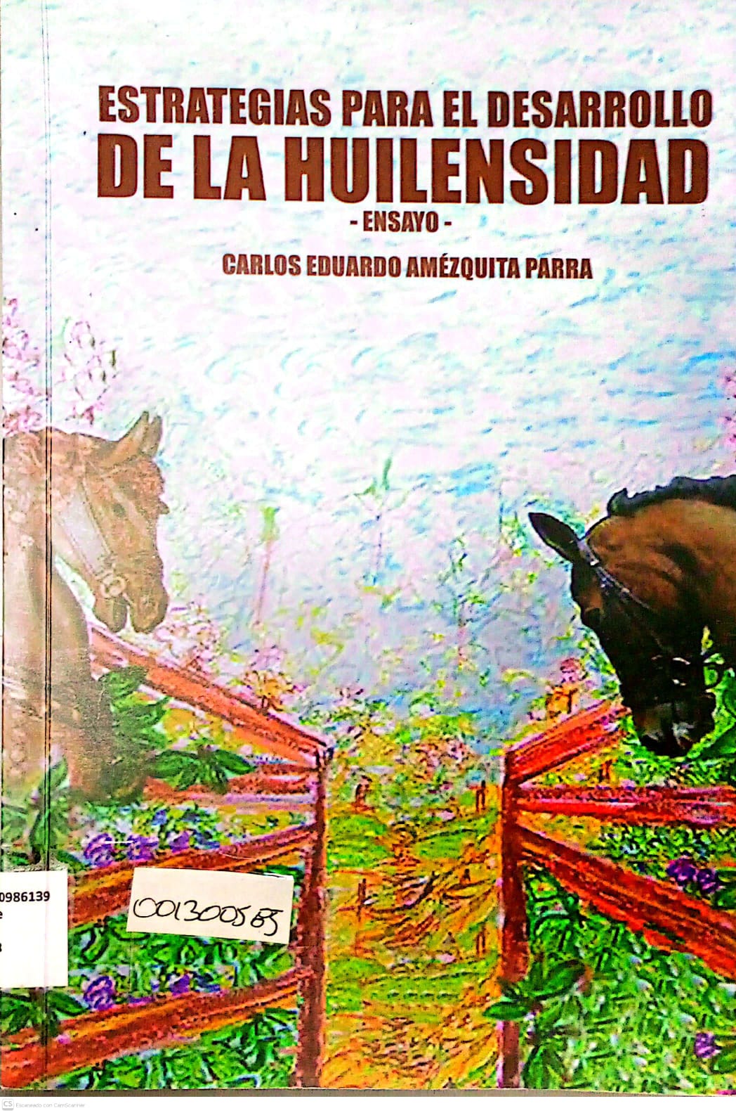 Portada del libro ESTRATEGIAS PARA EL DESARROLLO DE LA HUILENSIDAD - ENSAYO-